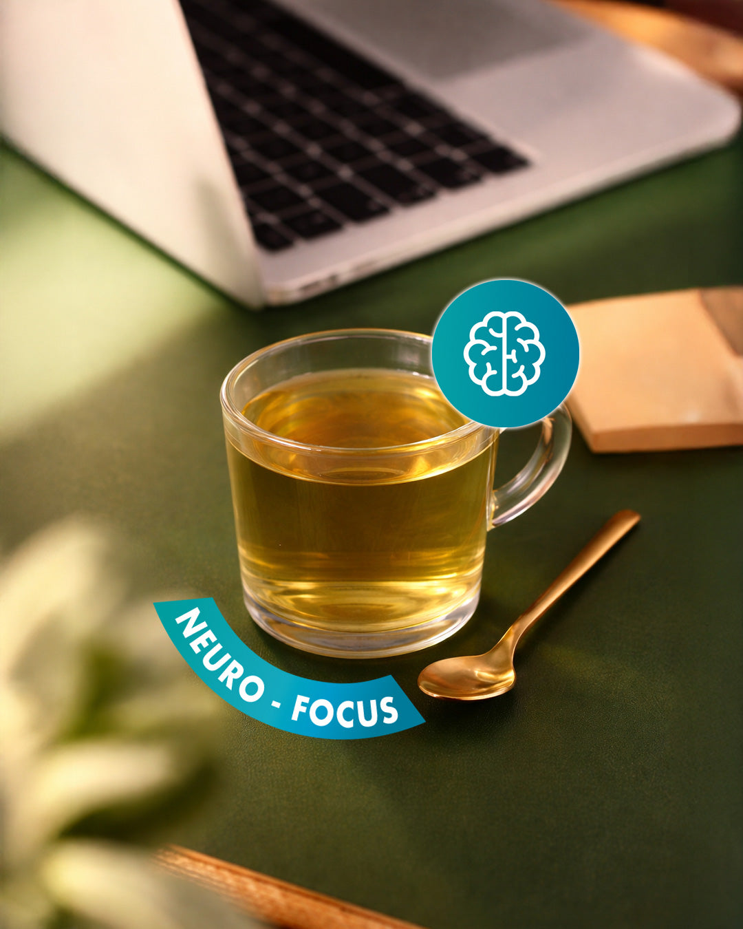 Neuro-Focus – Brain & Focus Support 17$ 75g - 27$ 150g